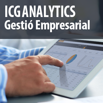 ICGAnalytics - Gestió empresarial
